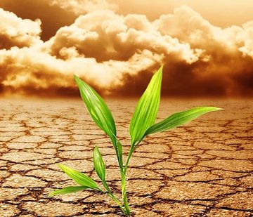 Ejemplo 2 Incertidumbres Cambio Climatico Información a revelar sobre incertidumbres en los estados financieros, ilustrada con ejemplos relacionados con el clima