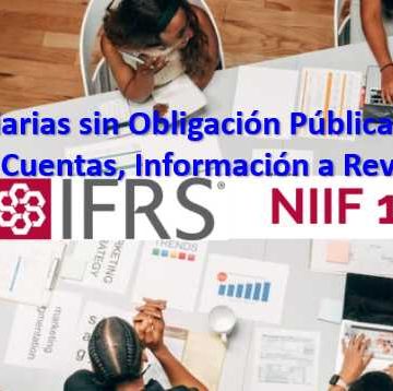 Articulo sobre la NIIF 19_00 NIIF 19 Subsidiarias sin Obligación Pública de Rendir Cuentas Información a Revelar