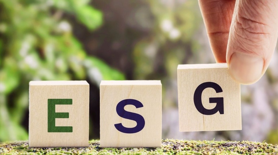ESG y el Comportamiento de las Empresas más allá de lo Financiero ESG y el Comportamiento de las Empresas más allá de lo Financiero